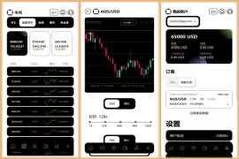 多语言新版本UI 欧美风格币盘外汇/虚拟币/股票/取货/贵金属/合约/期权/nft/只能交易H5 PC自适应（后端Java 前端VUE，全开源可二开）